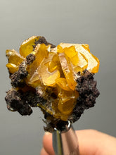 Load image into Gallery viewer, High-Grade Orange Wulfenite Collector Display Specimen | La Morita Mine, Chihuahua, Mexico