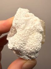 Load image into Gallery viewer, Rare Druzy Golden “Diamond” Calcite on Zeolite Matrix — Maharashtra, India | Collector Cabinet Specimen