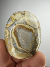 Load image into Gallery viewer, Cobra Jasper Palm Stone from India • High Grade