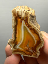 Load image into Gallery viewer, Premium Sumatra Agate (Banded Chalcedony) Display Specimen | Indonesia
