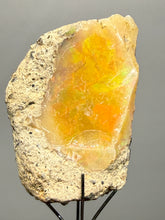 Load image into Gallery viewer, Precious Opal with Color Play | Welo, Ethiopia