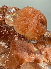 Load image into Gallery viewer, Rare Red Apophyllite + Druzy Red Stilbite Flowers — Deccan Traps, India