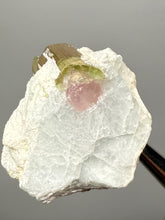 Load image into Gallery viewer, Watermelon Tourmaline on Matrix – Collector Mineral Specimen from Pakistan