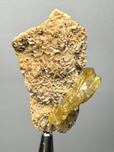 Load image into Gallery viewer, Vibrant Yellow Barite | Collector Display Specimen | Taourirt Mine, Morocco