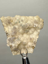 Load image into Gallery viewer, Blue-Green Chrysocolla in Botryoidal Chalcedony Cabinet Specimen | Indonesia