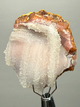 Load image into Gallery viewer, “Goblin Chalcedony” Pink & Orange Druzy Botryoidal Stalactites— Tichka Massif, High Atlas, Morocco