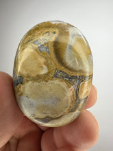 Load image into Gallery viewer, Cobra Jasper Palm Stone from India • High Grade