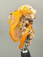 Load image into Gallery viewer, High-Grade Orange Wulfenite Collector Display Specimen | La Morita Mine, Chihuahua, Mexico