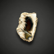 Load image into Gallery viewer, Premium Sumatra Agate (Banded Chalcedony) Display Specimen | Indonesia