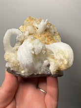 Load image into Gallery viewer, Moroccan Ram’s Horn Selenite (Gypsum) Crystal Display Specimen