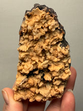 Load image into Gallery viewer, Rose Botryoidal Chalcedony Agate from Morocco – Druzy Cabinet Specimen