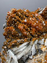 Load image into Gallery viewer, Natural Vanadinite on Matrix | Collector Mineral Specimen | Morocco