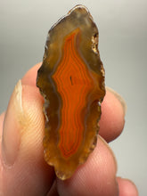Load image into Gallery viewer, Lot of 9 Small Malawi Agate Halves – Polished Rare Colorful Collector Specimens