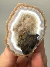 Load image into Gallery viewer, Natural Laguna Agate Collector Mineral Specimen | Chihuahua, Mexico