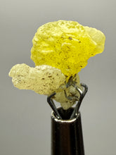 Load image into Gallery viewer, Vibrant Yellow Brucite Thumbnail Mineral Specimen | Collector Crystal from Killa Saifullah District in Balochistan Province, Pakistan