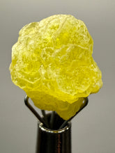 Load image into Gallery viewer, Vibrant Yellow Brucite Thumbnail Mineral Specimen | Collector Crystal from Killa Saifullah District in Balochistan Province, Pakistan