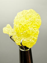 Load image into Gallery viewer, Vibrant Yellow Brucite Thumbnail Mineral Specimen | Collector Crystal from Killa Saifullah District in Balochistan Province, Pakistan