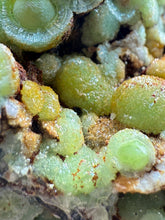 Load image into Gallery viewer, High-Grade Green Wavellite Collectors Specimen - Radiating Botryoidal Crystal Formation - Arkansas, USA
