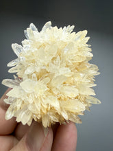 Load image into Gallery viewer, High-Grade Flower Coral Aragonite Crystal Specimen – Wenshan Mine, Yunnan, China