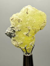 Load image into Gallery viewer, Vibrant Yellow Brucite Thumbnail Mineral Specimen | Collector Crystal from Killa Saifullah District in Balochistan Province, Pakistan