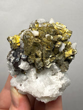 Load image into Gallery viewer, High-Grade Golden Pyrite, Galena & Sphalerite on Quartz | Collector Mineral Specimen | Madan Ore Field, Rhodope Mountains, Bulgaria