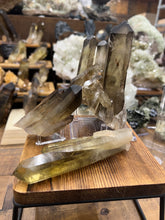 Load image into Gallery viewer, Smoky Citrine (Natural) • Madagascar