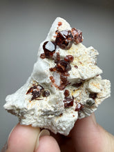 Load image into Gallery viewer, High-Grade Naturally Faceted Red Spessartine Garnet on Matrix — Skardu, Pakistan
