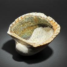 Load image into Gallery viewer, Bivalve (Pelecypoda) Fossil Sea Shell with Chalcopyrite | Mineralized Fossil Specimen | Indonesia