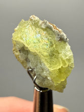 Load image into Gallery viewer, Vibrant Yellow Brucite Thumbnail Mineral Specimen | Collector Crystal from Killa Saifullah District in Balochistan Province, Pakistan