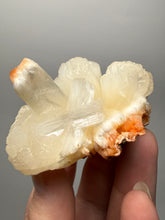 Load image into Gallery viewer, Cream Stilbite Flower on
Orange Heulandite Zeolite Cluster – India (Collector Mineral Specimen)
