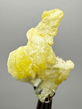 Load image into Gallery viewer, Vibrant Yellow Brucite Thumbnail Mineral Specimen | Collector Crystal from Killa Saifullah District in Balochistan Province, Pakistan