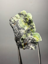 Load image into Gallery viewer, High-Grade Green Wavellite Collectors Specimen - Radiating Botryoidal Crystal Formation - Arkansas, USA