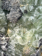 Load image into Gallery viewer, High-Grade Green Wavellite Collectors Specimen - Radiating Botryoidal Crystal Formation - Arkansas, USA