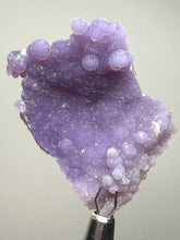 Load image into Gallery viewer, Indonesian Grape Agate (Botryoidal Purple Chalcedony) Display Specimen | Mamuju, West Sulawesi, Indonesia