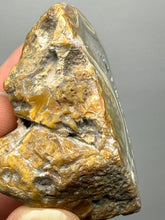 Load image into Gallery viewer, Premium Sumatra Agate (Banded Chalcedony) Display Specimen | Indonesia