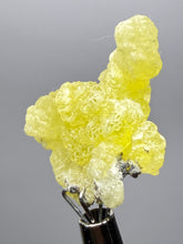 Load image into Gallery viewer, Vibrant Yellow Brucite Thumbnail Mineral Specimen | Collector Crystal from Killa Saifullah District in Balochistan Province, Pakistan