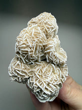 Load image into Gallery viewer, Desert Rose Selenite (Gypsum) — Mineral Display Specimen | Mexico