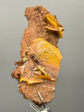 Load image into Gallery viewer, High-Grade Orange Wulfenite Collector Display Specimen | La Morita Mine, Chihuahua, Mexico
