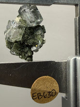 Load image into Gallery viewer, Cubic Fluorite Crystal Thumbnail Specimen | Chashan Mine, Chenzhou, Hunan, China | Collector Mineral Display