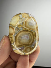 Load image into Gallery viewer, Cobra Jasper Palm Stone from India • High Grade