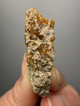 Load image into Gallery viewer, Hessonite Garnet Cluster on Matrix – Natural Collector Specimen from Pakistan | High-Grade Orange-Red Garnet Crystals