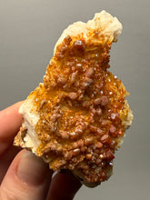 Load image into Gallery viewer, Natural Vanadinite on Matrix | Collector Mineral Specimen | Morocco