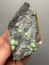 Load image into Gallery viewer, High-Grade Green Wavellite Collectors Specimen - Radiating Botryoidal Crystal Formation - Arkansas, USA