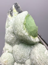 Load image into Gallery viewer, High-Grade Green Wavellite Collectors Specimen - Radiating Botryoidal Crystal Formation - Arkansas, USA