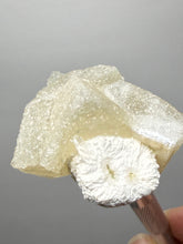Load image into Gallery viewer, Rare Druzy Golden “Diamond” Calcite on Zeolite Matrix — Maharashtra, India | Collector Cabinet Specimen