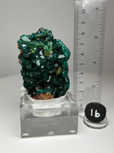 Load image into Gallery viewer, Dioptase Cluster from Congo • High Grade • Mineral Collector’s Specimen Showpiece