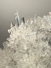 Load image into Gallery viewer, High-Grade Chrysanthemum Quartz (Needle Quartz) Spray Cluster | Jiangxi, China