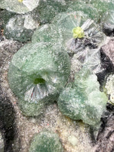 Load image into Gallery viewer, High-Grade Green Wavellite Collectors Specimen - Radiating Botryoidal Crystal Formation - Arkansas, USA
