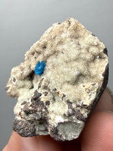 Load image into Gallery viewer, Rare Electric Blue Pentagonite on Druzy Matrix – Collector Mineral Specimen | India