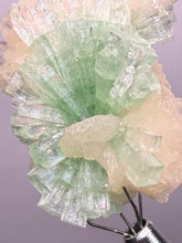 Load image into Gallery viewer, Green Radial “Disco Ball” Apophyllite | Maharashtra, India